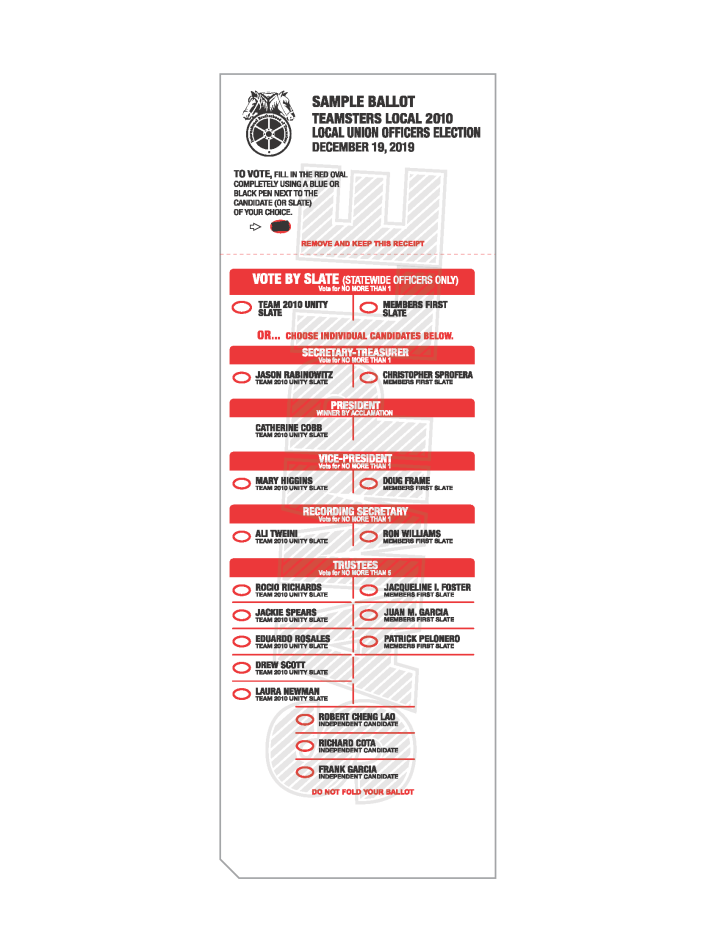 STATEWIDE ONLY Ballot_Local 2010-1_sample